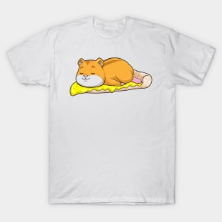 Hamster & Pizza with Cheese T-Shirt